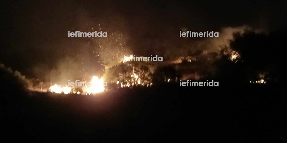 Ολονύχτια μάχη με τις φλόγες στο Βελεστίνο της Μαγνησίας / Φωτογραφία: iefimerida.gr
