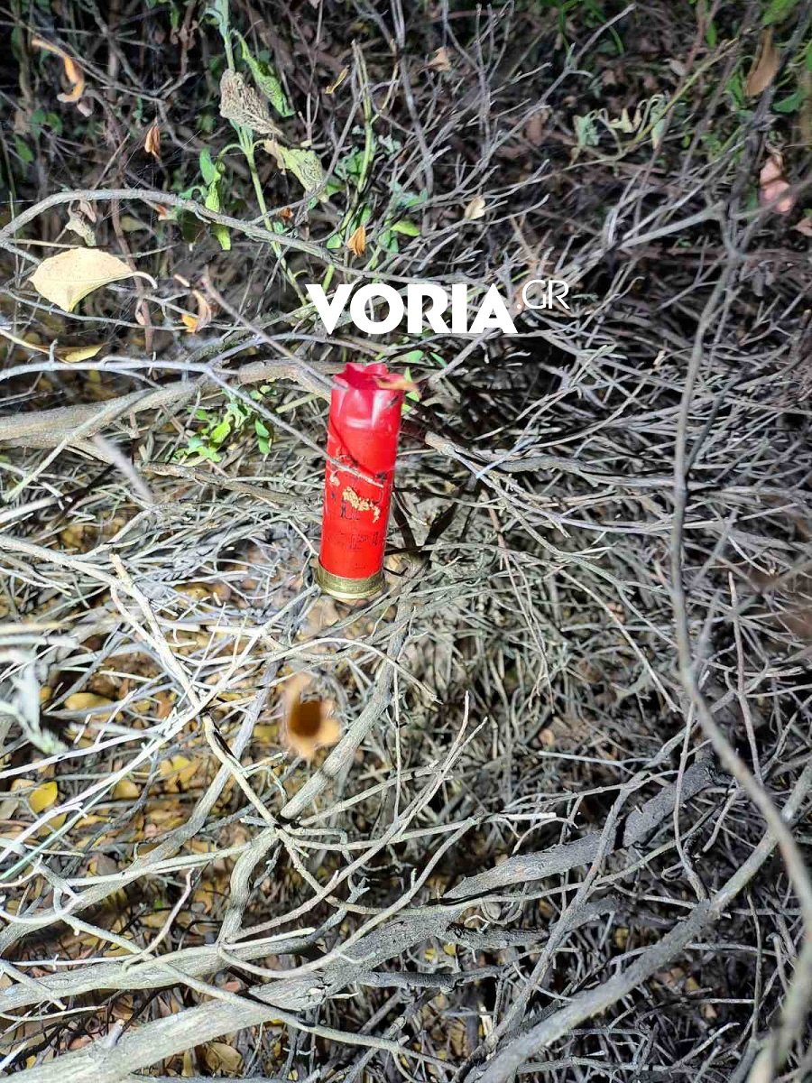 Ληστεία στη Χαλκιδική / voria.gr