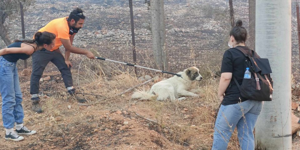 Φωτογραφία: iefimerida.gr