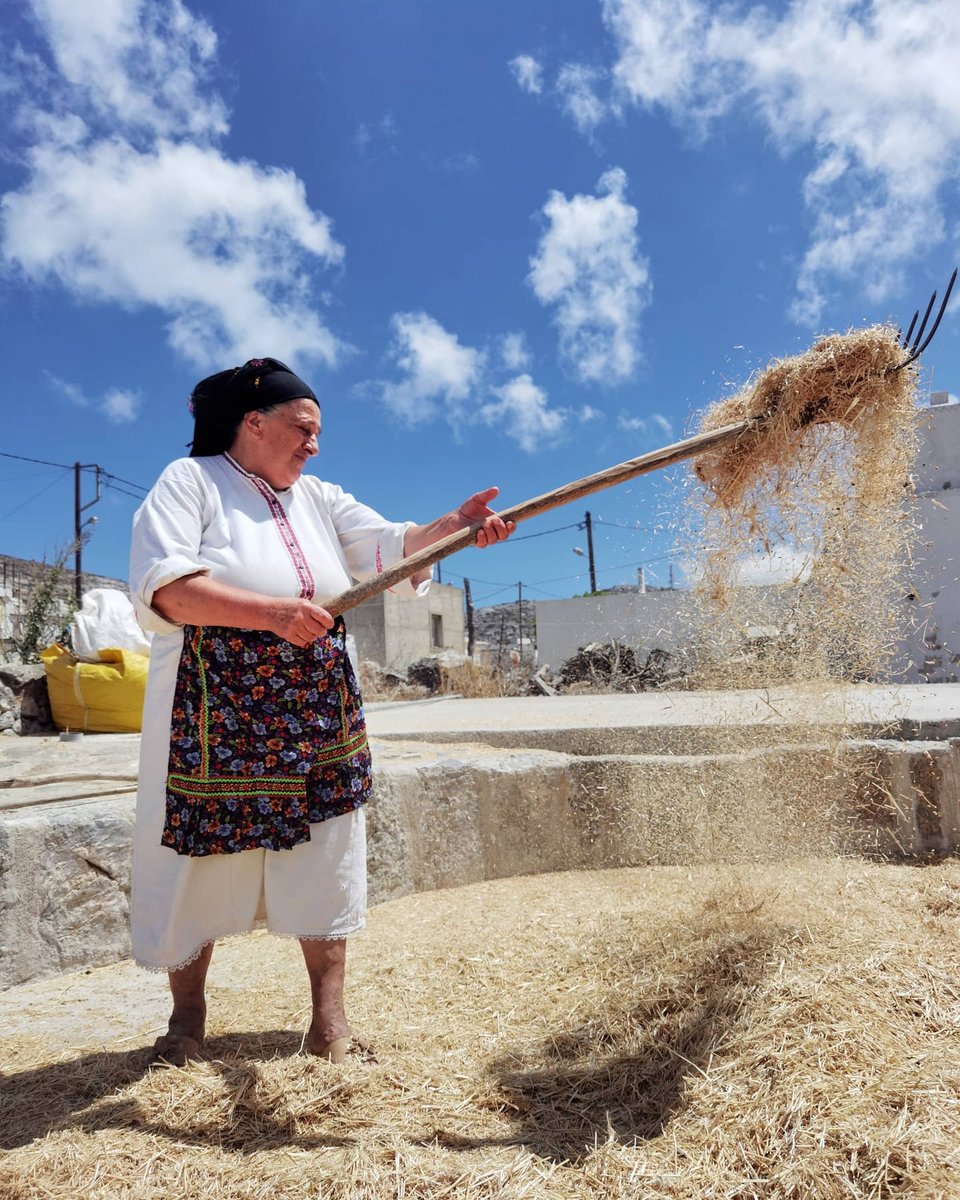 Η Άννα Λεντάκη στην Αυλώνα της Καρπάθου ξεχωρίζει το στάρι. Φωτογραφία του Φώτη Βαλλάτου