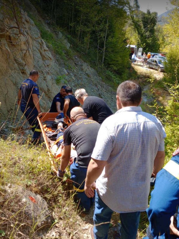 Επίθεση αρκούδας σε άνδρα στα ορεινά της Άρτας/agriniotimes