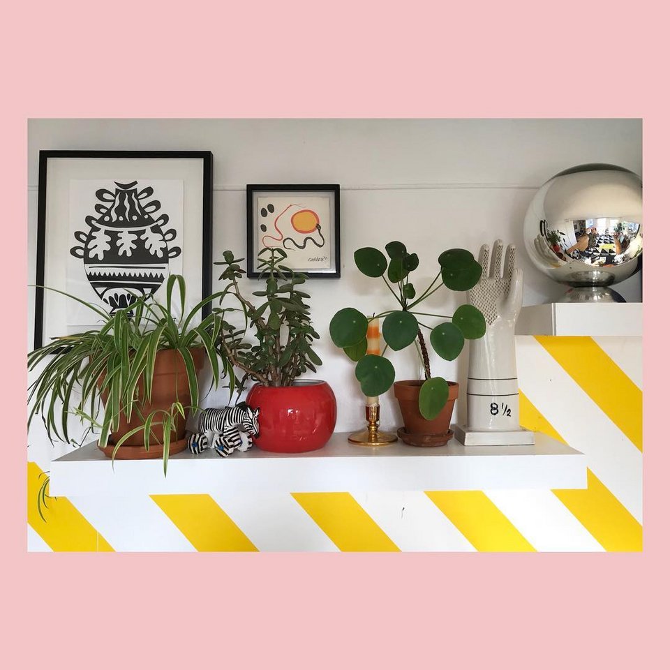 Tα φυτά εσωτερικού χώρου δεν λείπουν από τα ράφια του ατελιέ  / Φωτογραφία: camillewalala/Instagram