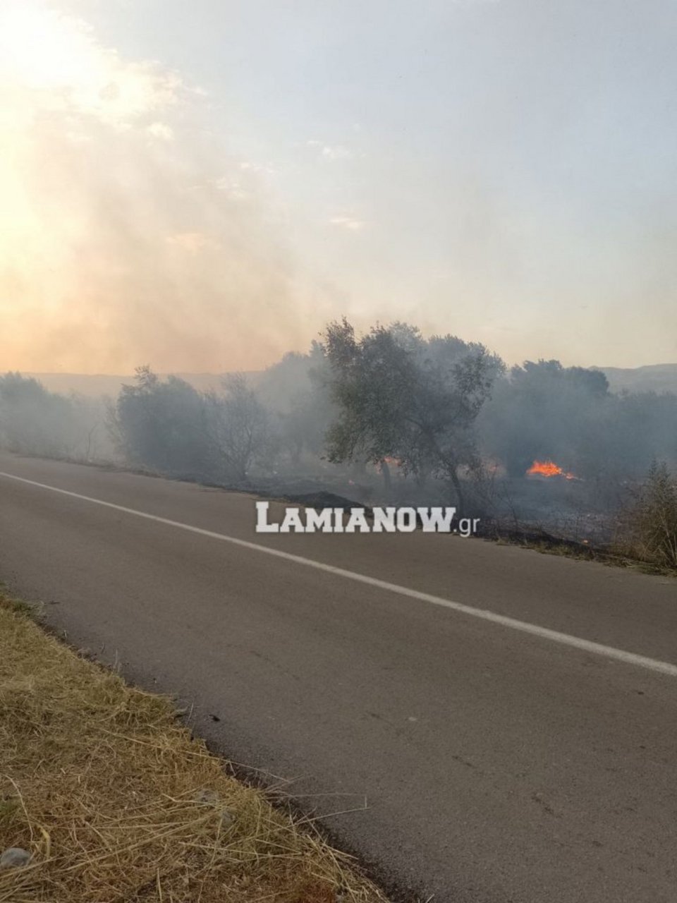Φωτογραφία: Lamianow.gr