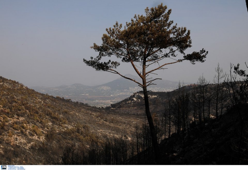 φωτιά στην Πάρνηθα