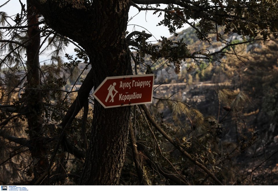 φωτιά στην Πάρνηθα