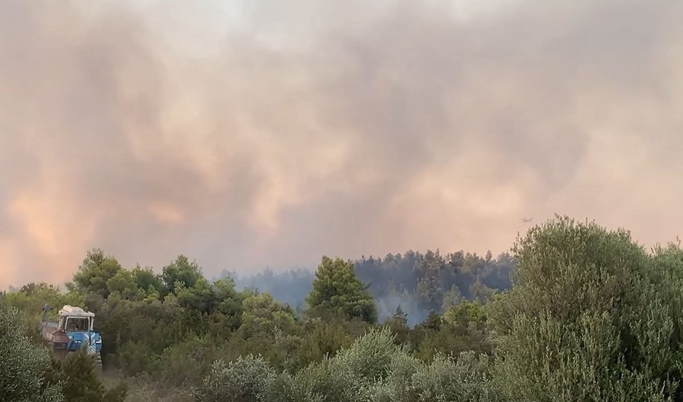 Φωτιά στα Ψαχνά Ευβοίας