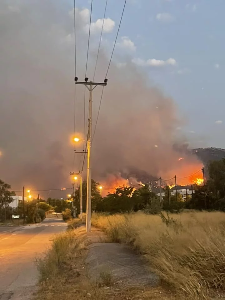 Incendiul este în apropierea caselor din Menidi