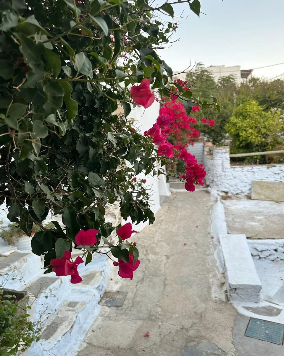 Κατερίνα Καινούργιου