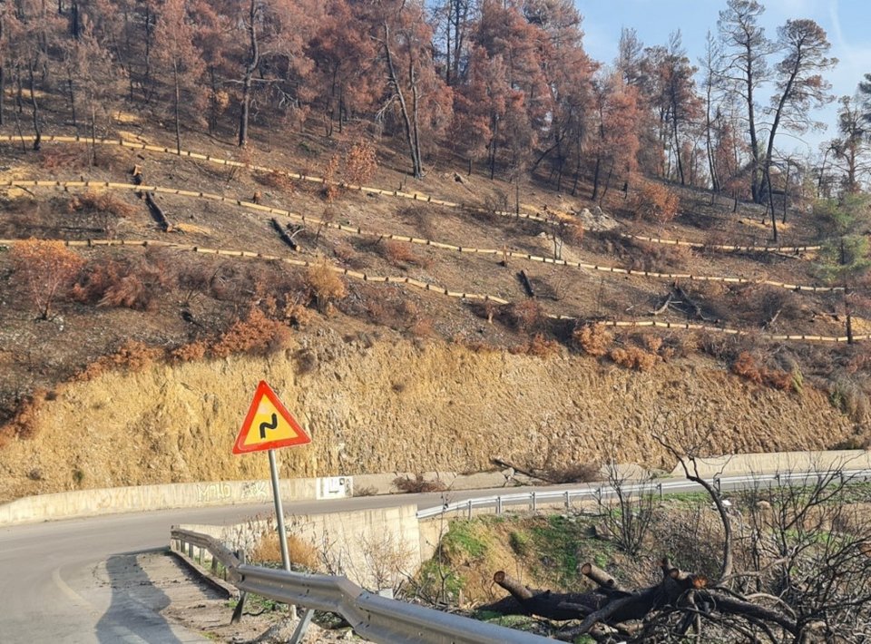 Εικ. 4. Άστοχη τοποθέτηση κορμών στην Λίμνη Ευβοίας