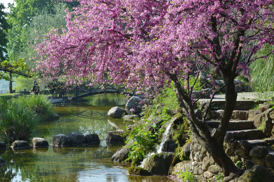 Το πάρκο από το 2021 εντάχθηκε επίσημα στην Ευρωπαϊκή Διαδρομή  Ιστορικών Κήπων του Συμβουλίου της Ευρώπης