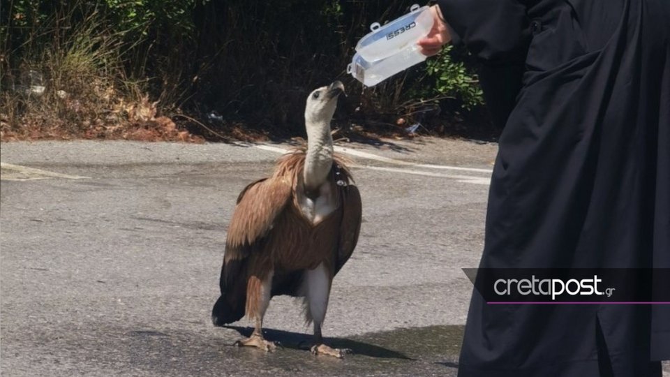 Φωτογραφία: Cretapost.gr