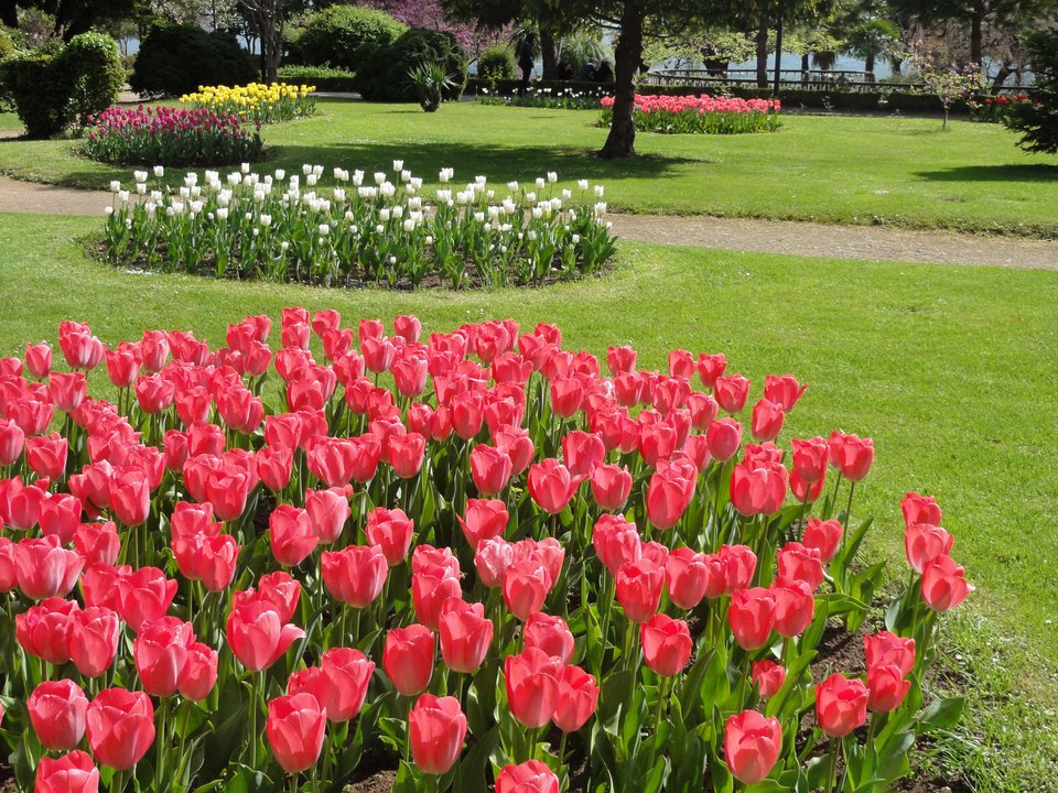 Ενα σημαντικο τοπόσιμο στη Νάουσα 