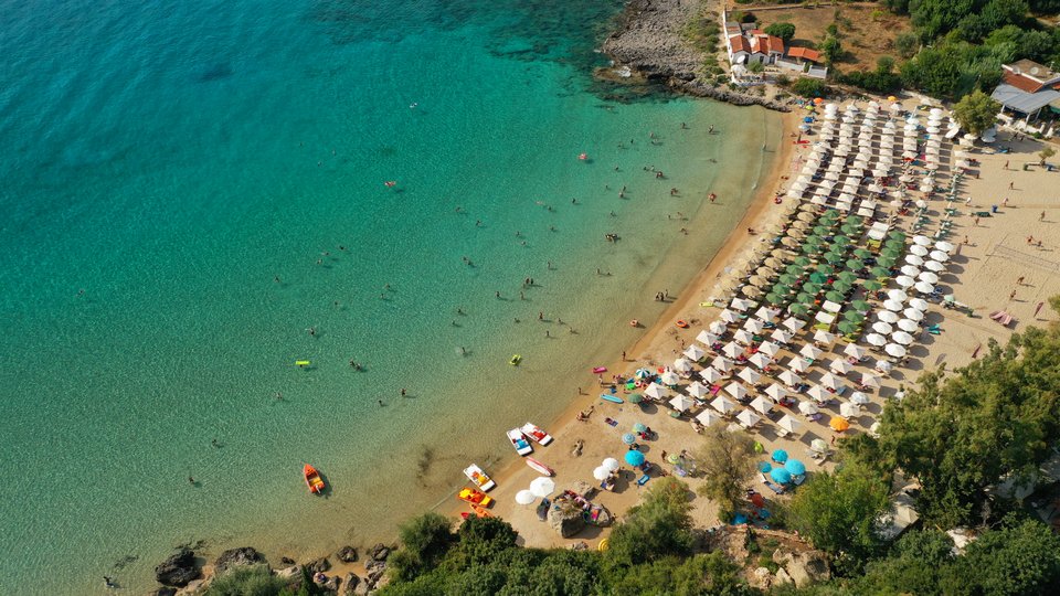 Καλογριά / Φωτογραφία: Shutterstock