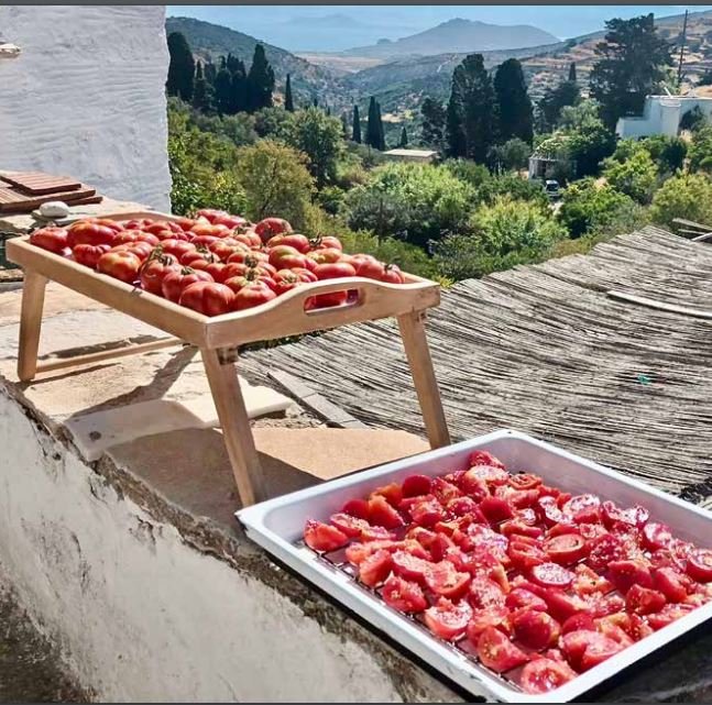 Οι ντομάτες γίνονται λιαστές στις πεζούλες των σπιτιών. Από το βιβλίο του Γιώργου Πίττα.