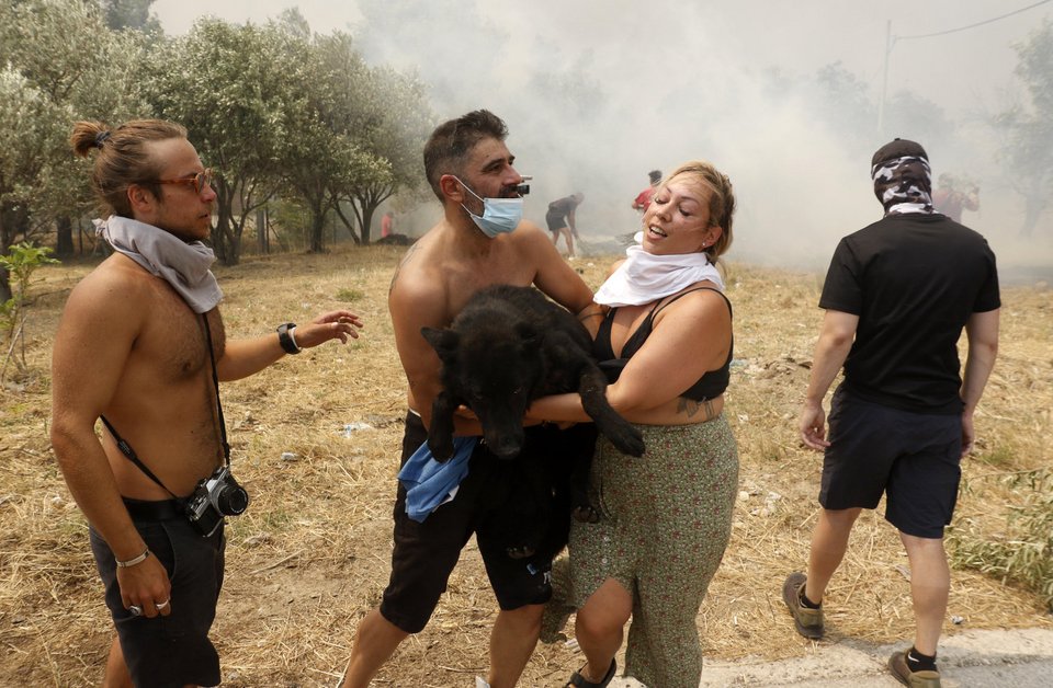 Φωτογραφία: Intimenews-ΚΑΡΑΤΖΑΣ ΚΩΣΤΑΣ
