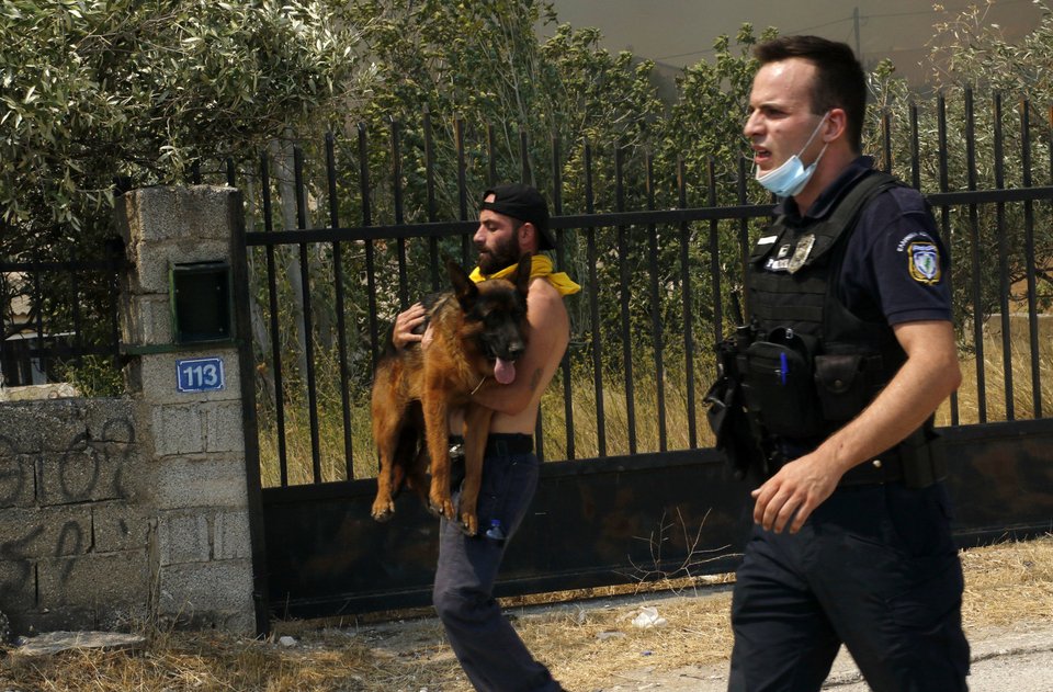Φωτογραφία: Intimenews-ΚΑΡΑΤΖΑΣ ΚΩΣΤΑΣ
