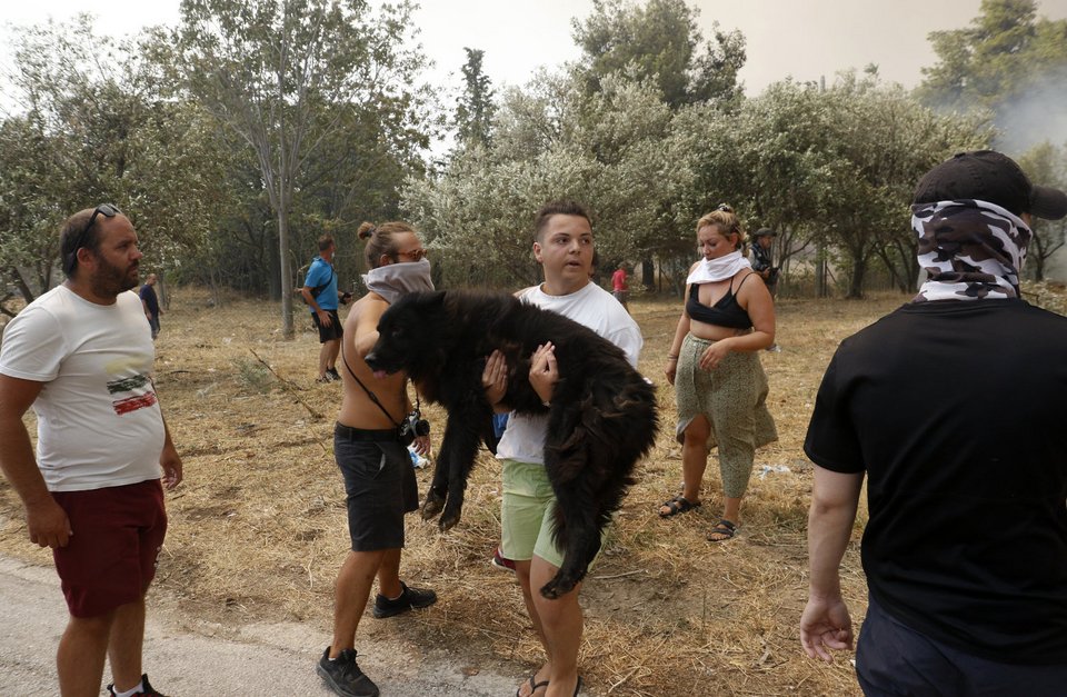 Φωτογραφία: Intimenews-ΚΑΡΑΤΖΑΣ ΚΩΣΤΑΣ