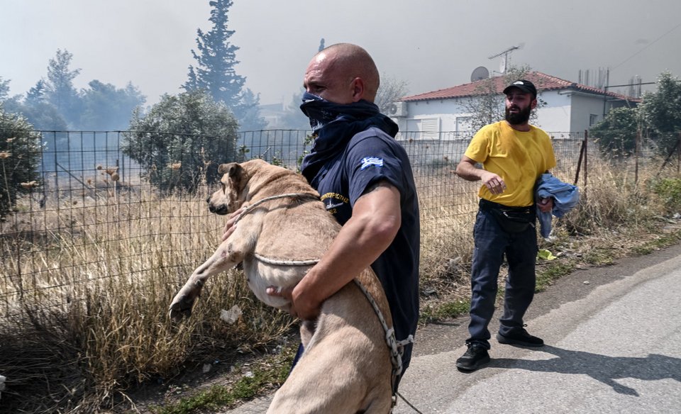 Φωτογραφία: ΤΑΤΙΑΝΑ ΜΠΟΛΑΡΗ-EUROKINISSI