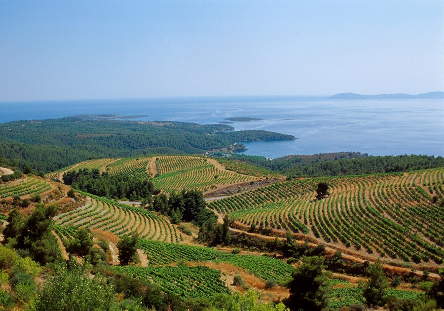 κτημα