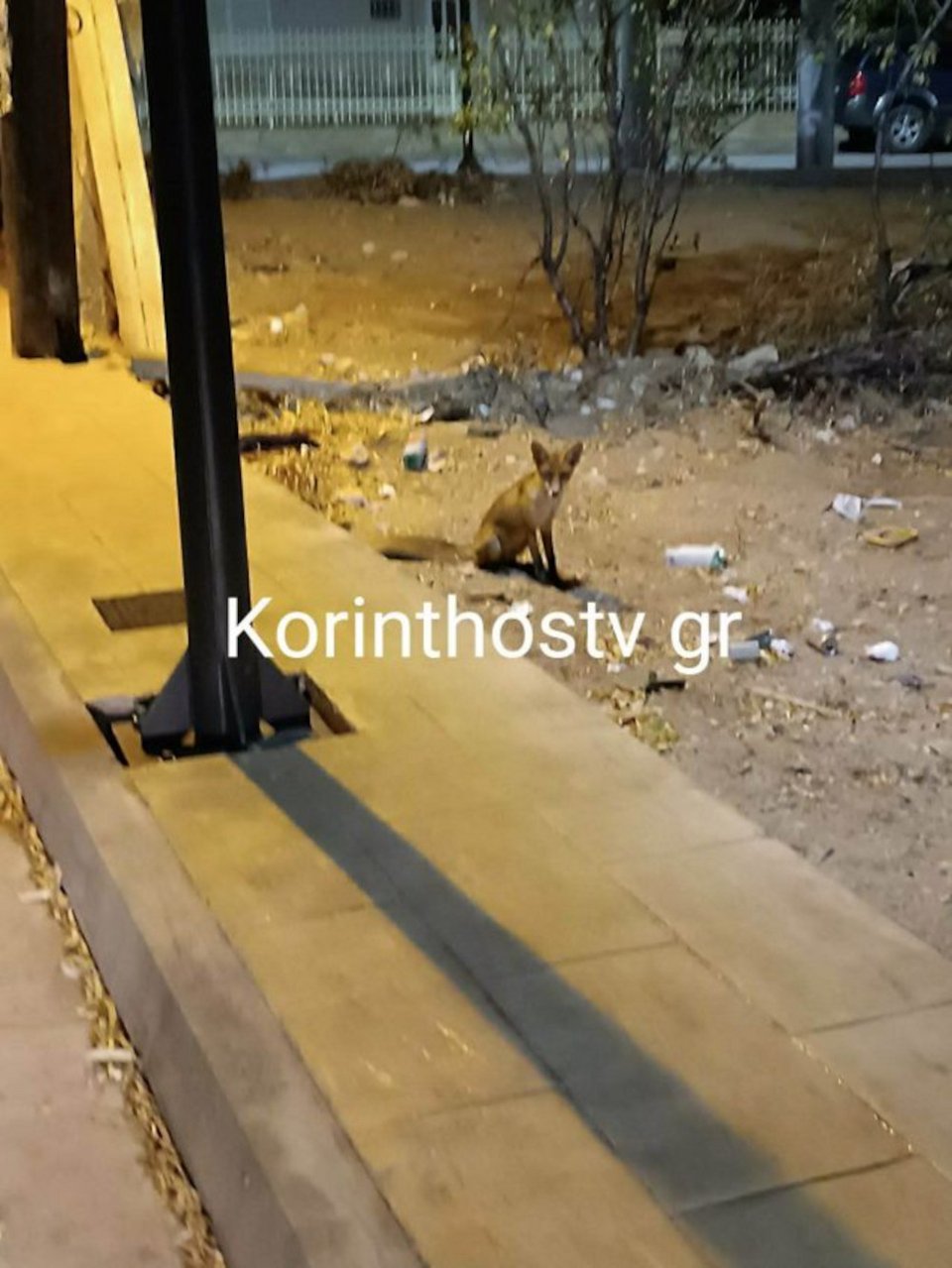 Φωτογραφία: Korinthostv.gr