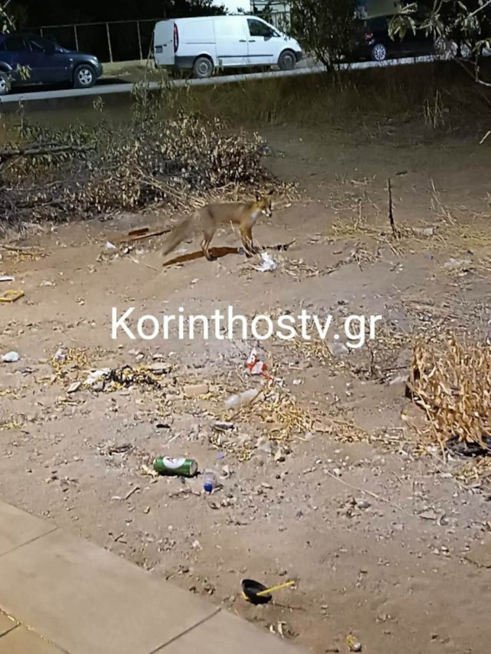 Φωτογραφία: Korinthostv.gr