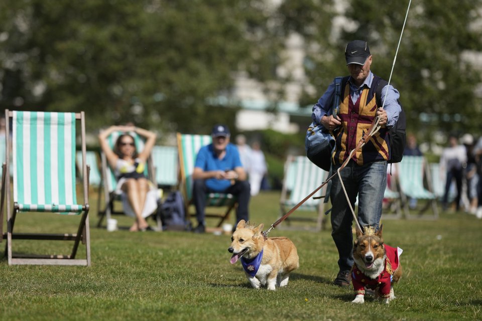 Corgi κάνουν παρέλαση έξω από το Παλάτι του Μπάκιγχαμ