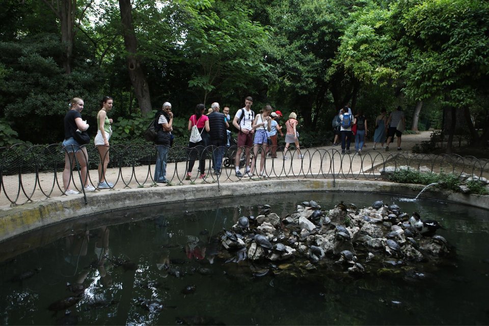 Επισκέπτες στον Εθνικό Κήπο «χαζεύουν» τις χελώνες