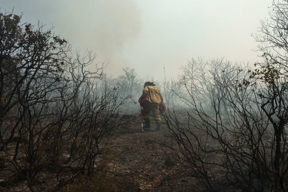 Αποκαρδιωτικές εικόνες, κάηκαν χιλιάδες στρέμματα στον Έβρο / SOOC
