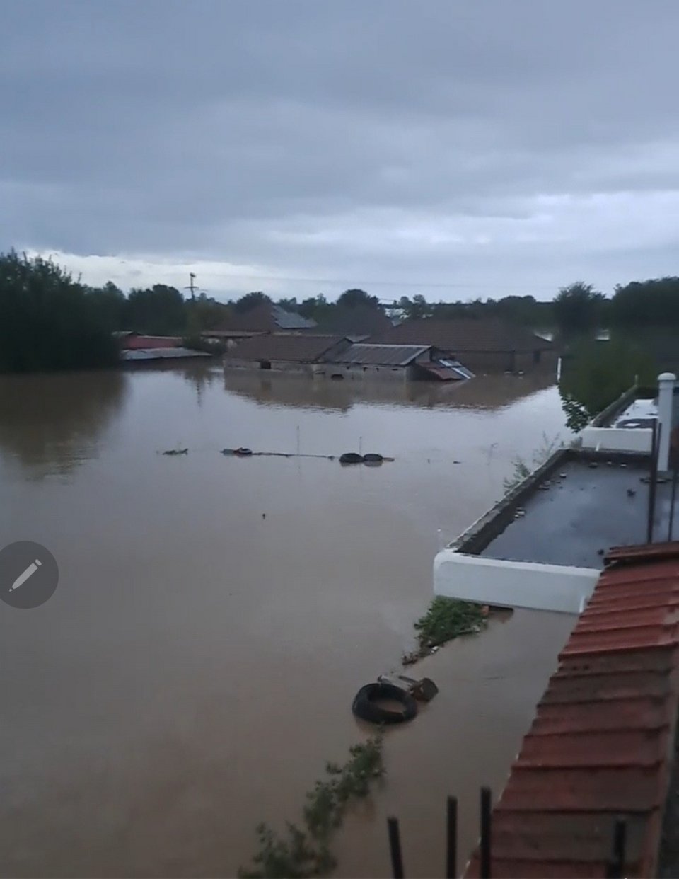 Ριζοβούνι Καρδίτσας
