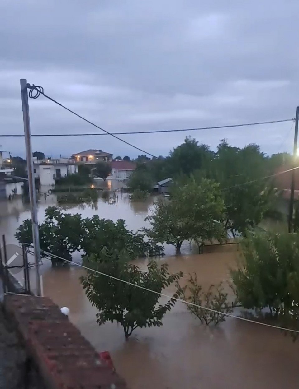 Ριζοβούνι Καρδίτσας