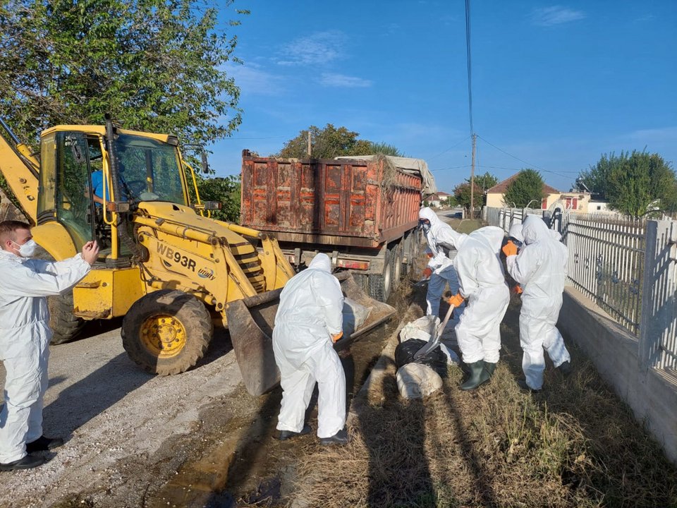 Συνεχίζεται η αποκομιδή και ταφή νεκρών ζώων που προκάλεσε η κακοκαιρία Daniel