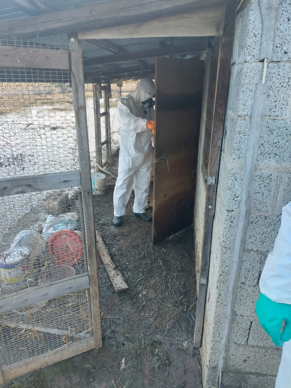 Συνεχίζεται η αποκομιδή και ταφή νεκρών ζώων που προκάλεσε η κακοκαιρία Daniel