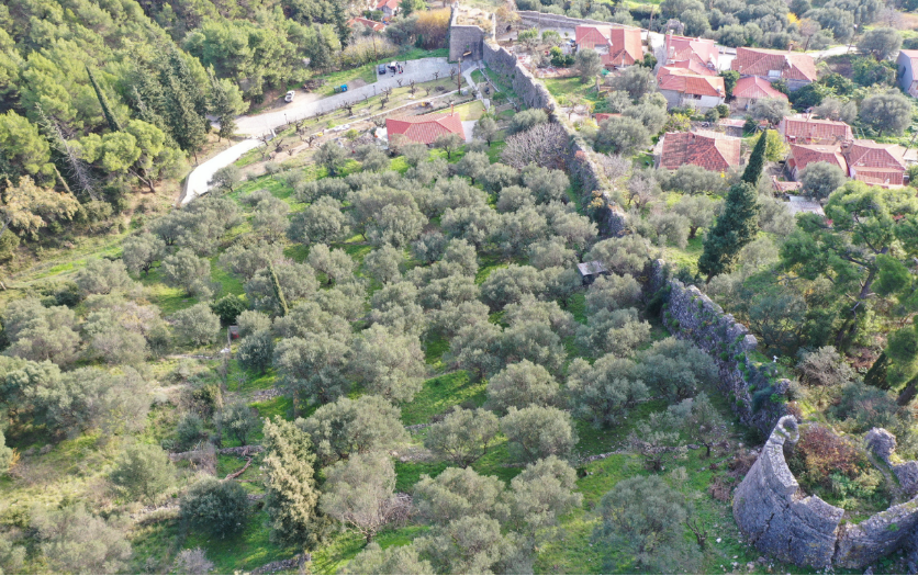 καστρο