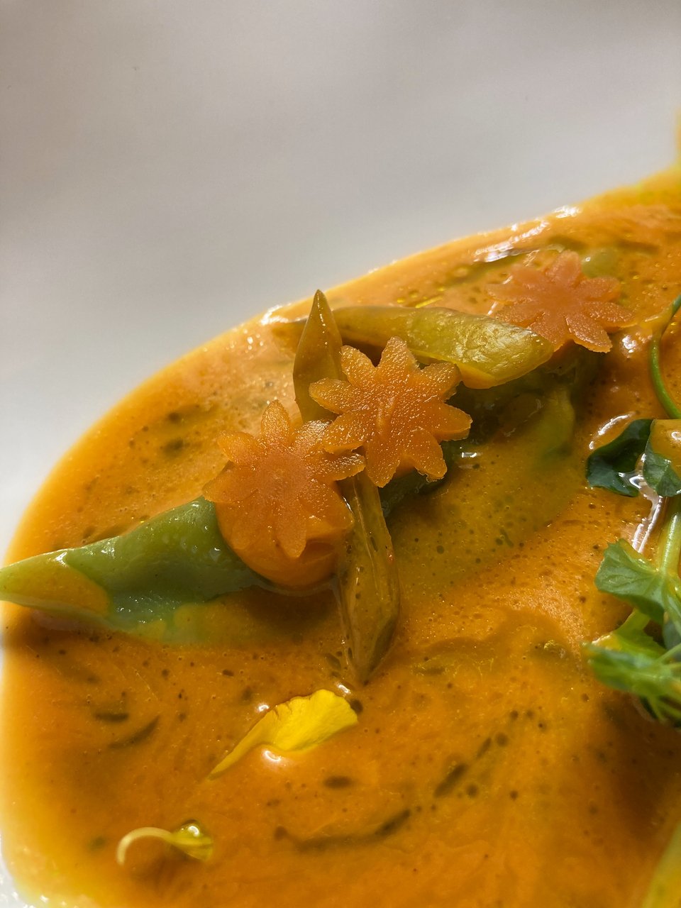 Τα εικονικά φασολάκια από ζυμαρικά και σάλτσα από πραγματικά φασολάκια. Μια πολύ έξυονη στιγμή στο μενού των 11 σταδίων / Φωτογραφία: Μάνος Λειβαδάρος/iefimerida