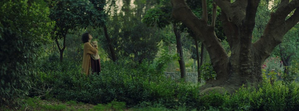 Κάμπια νύμφη πεταλούδα – Σκηνοθεσία: Κύρος Παπαβασιλείου