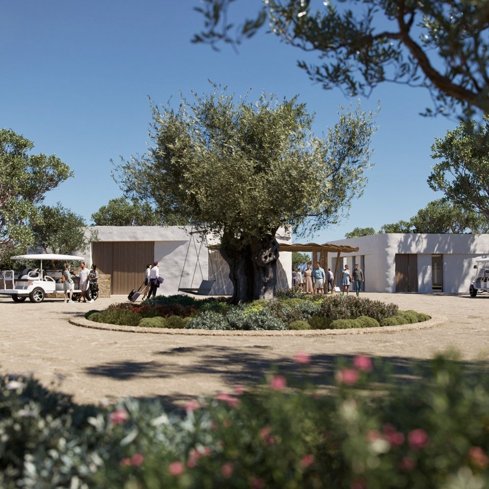 μια ελιά στο κέντρο του resort