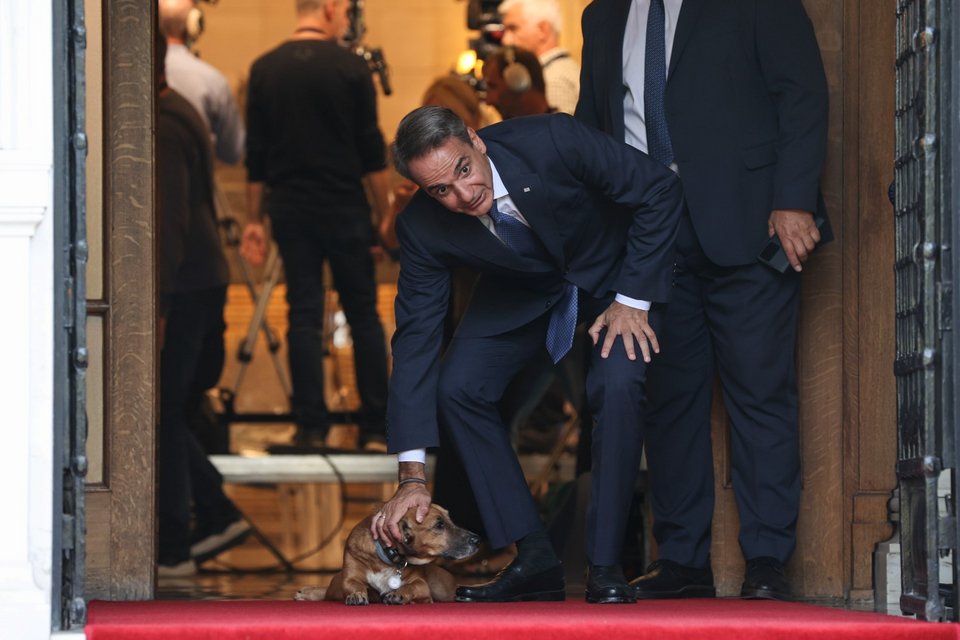 Λίγα χάδια πριν την υποδοχή