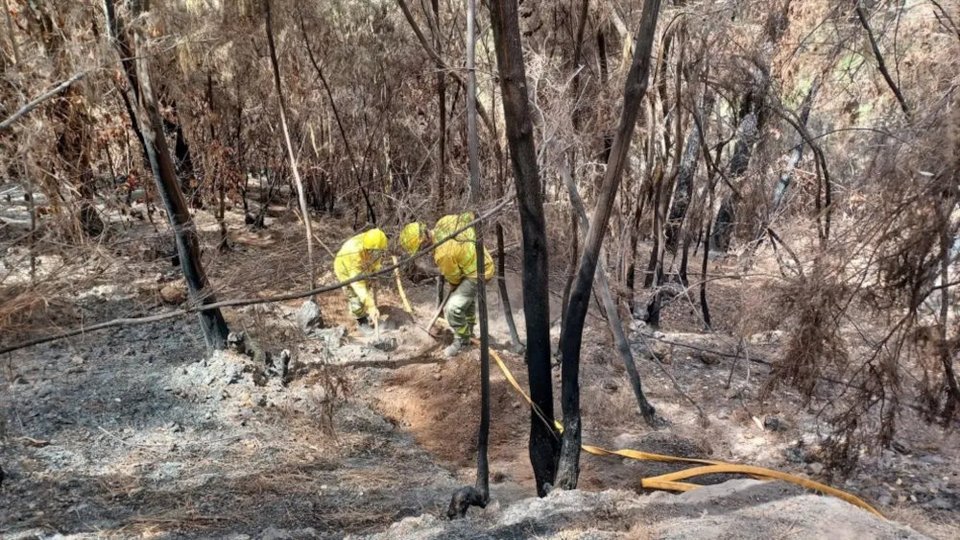 Πυροσβέστες επί τω έργω σε δασική έκτση στη βορειανατολική Τενερίφη