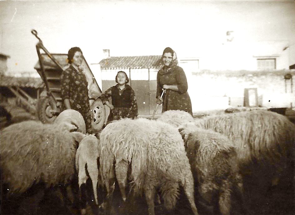 Οικογένεια Γεωργίου και Αικατερίνης Ηλία