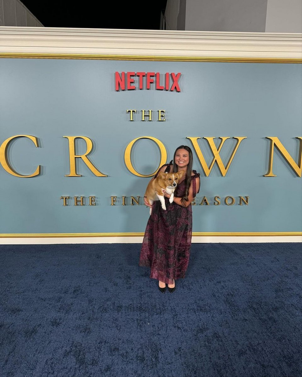 To απίθανο corgi Ziggy