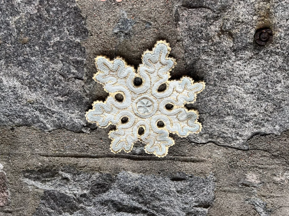 Δαντέλα σαν χιονονιφάδα