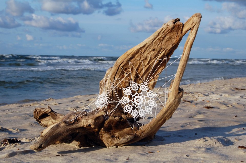 Σεμεδάκι σε παραλία της Πολωνίας