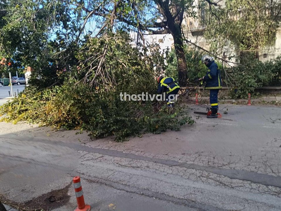 Εκλεισε ο δρόμος από πεσμένο δέντρο