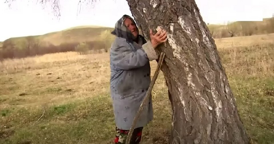Η γυναίκα αγκαλιάζει το δέντρο να είναι ένας από τους αδερφούς της