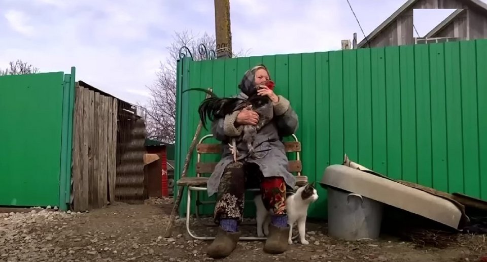 Η 82χρονη λατρεύει τα ζώα