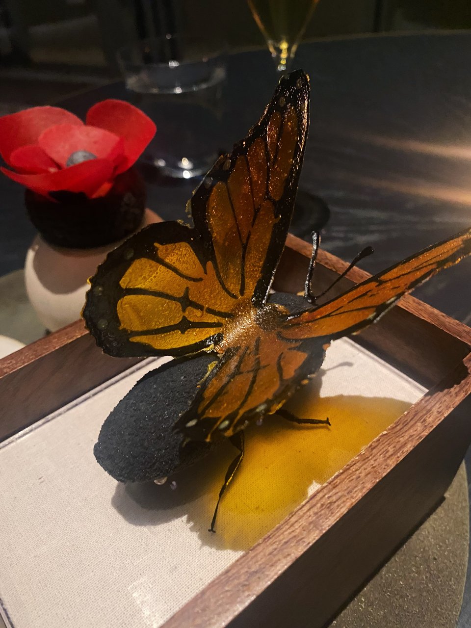 Η εκπληκτική πεταλούδα που κλείνει την εμπειρία στο Delta / Φωτογραφία: Μάνος Λειβαδάρος/iefimerida