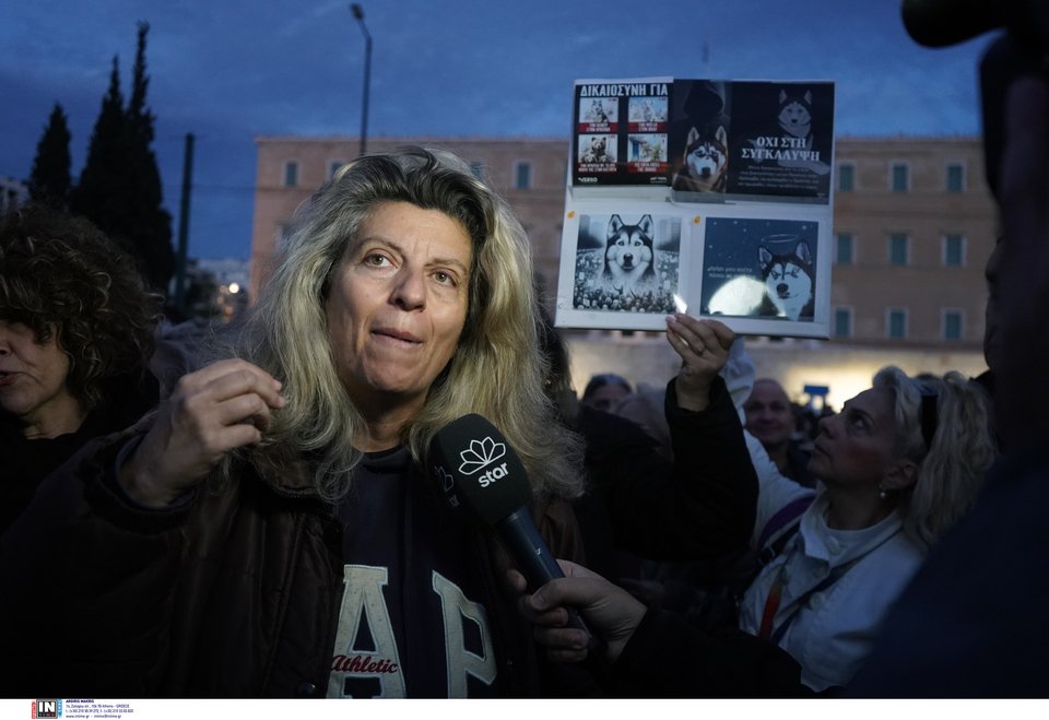 Συγκέντρωση διαμαρτυρίας στο Σύνταγμα για το αδικοχαμένο Χάσκι Όλιβερ / Φωτογραφία: Intime -ΜΗΤΣΑΚΟΣ ΔΗΜΗΤΡΗΣ