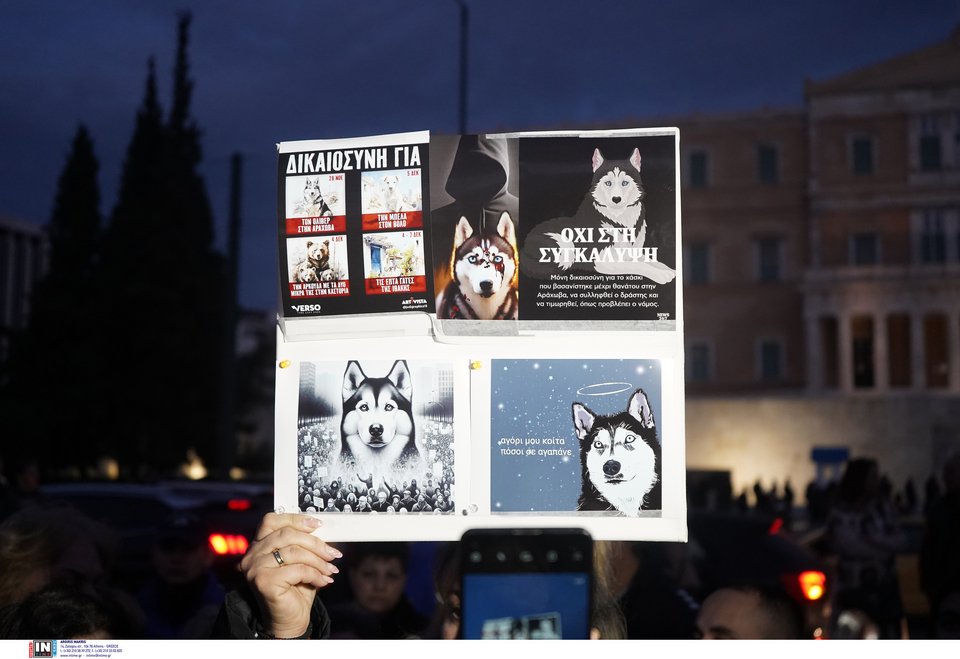 Συγκέντρωση διαμαρτυρίας στο Σύνταγμα για το αδικοχαμένο Χάσκι Όλιβερ / Φωτογραφία: Intime -ΜΗΤΣΑΚΟΣ ΔΗΜΗΤΡΗΣ