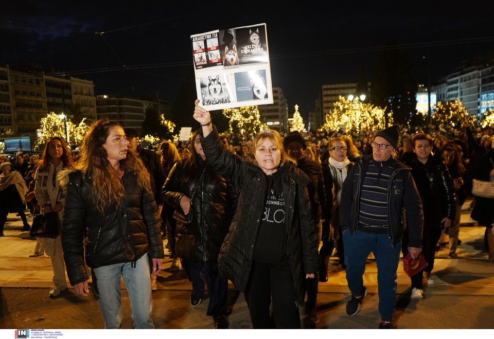 Συγκέντρωση διαμαρτυρίας στο Σύνταγμα για το αδικοχαμένο Χάσκι Όλιβερ / Φωτογραφία: Intime -ΜΗΤΣΑΚΟΣ ΔΗΜΗΤΡΗΣ