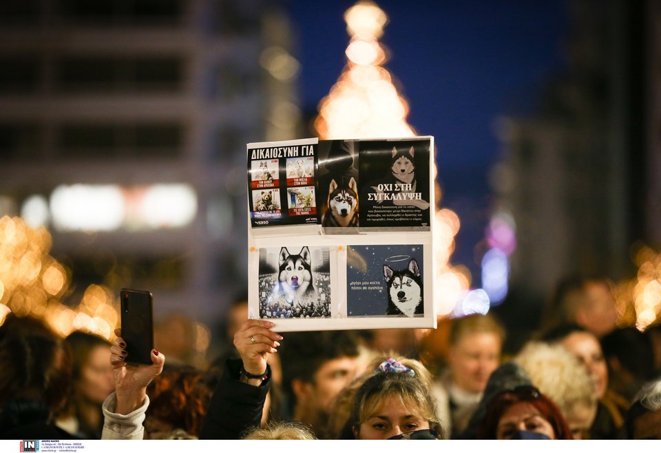 Συγκέντρωση διαμαρτυρίας στο Σύνταγμα για το αδικοχαμένο Χάσκι Όλιβερ / Φωτογραφία: Intime -ΜΗΤΣΑΚΟΣ ΔΗΜΗΤΡΗΣ